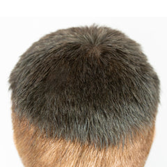 Der Champion - Farbe 4 hellbraun/dunkelblond